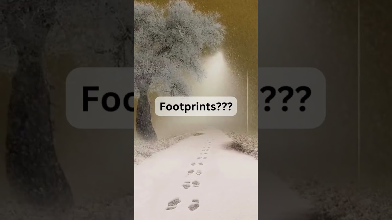 Look at the footprints ?!?!