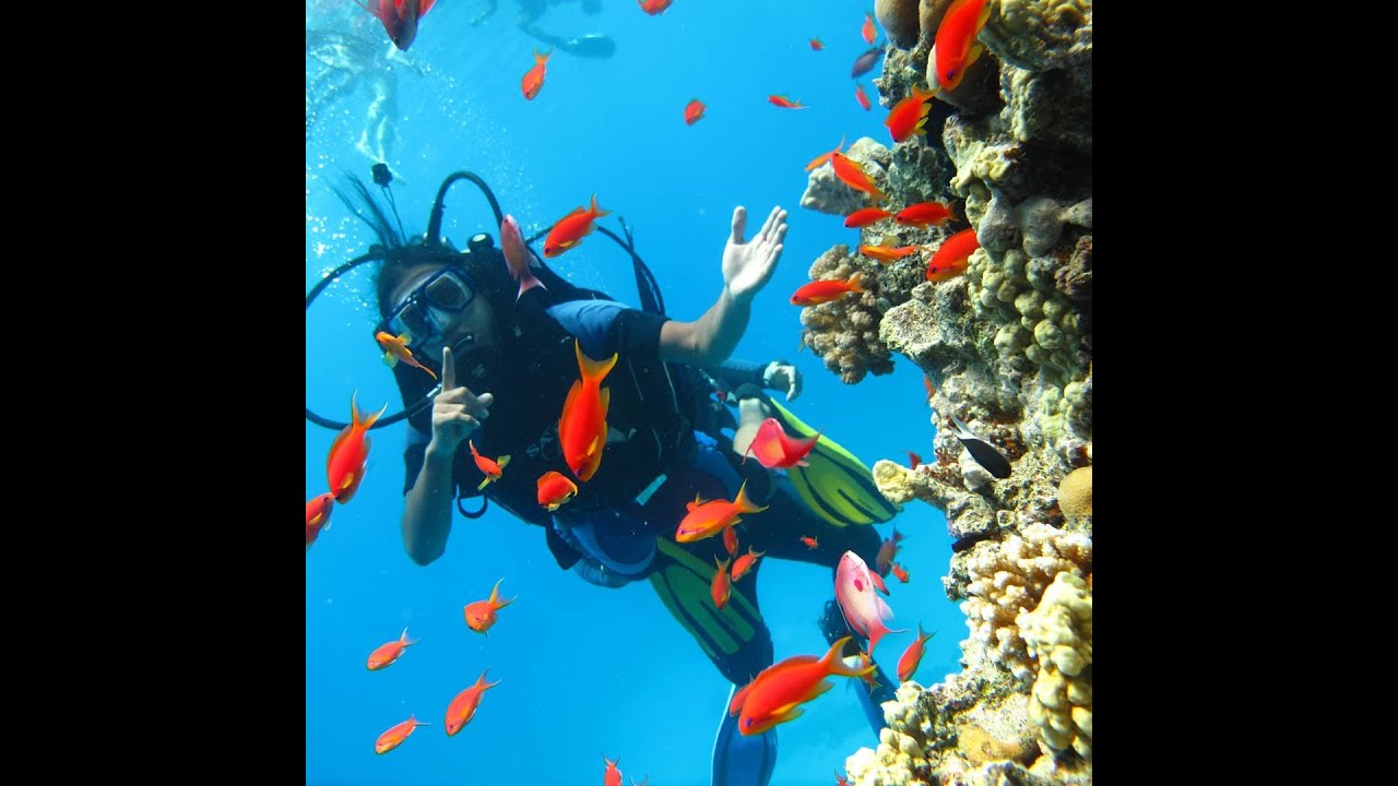 تجربة الغوص في شرم الشيخ - diving in sharm el-shaikh | خيـال