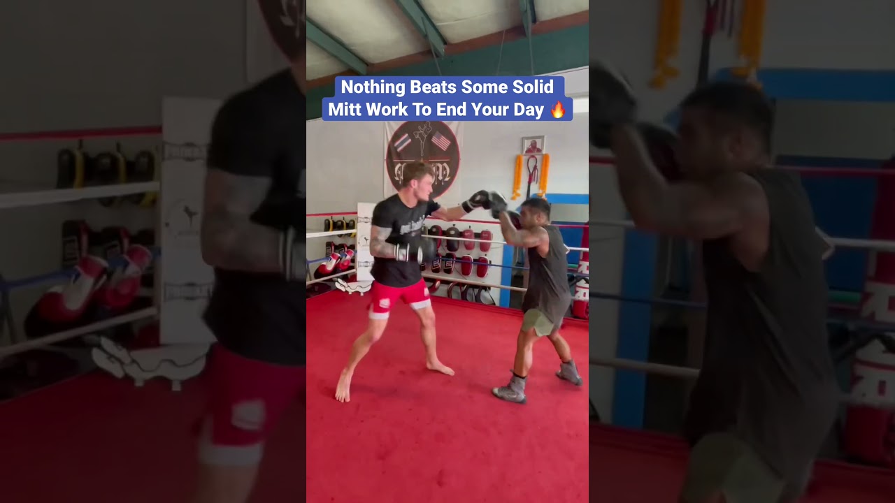 FAST HANDS ON THE FOCUS MITTS ⚡️ Boxing Training In Florida #ufc #boxingtraining #boxing #mma