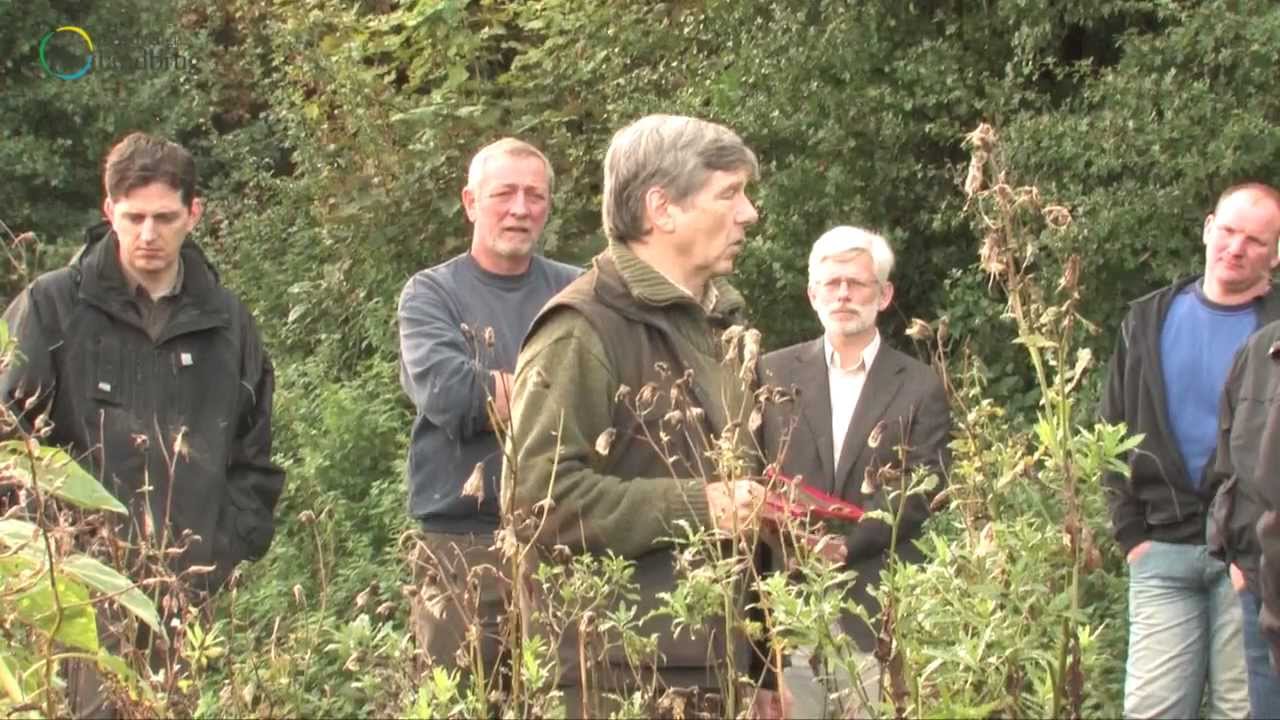 Lær hvordan du håndterer biodiversitetsstriber