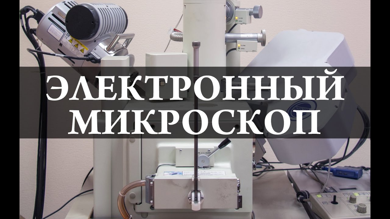 Электронный микроскоп  Химия – просто