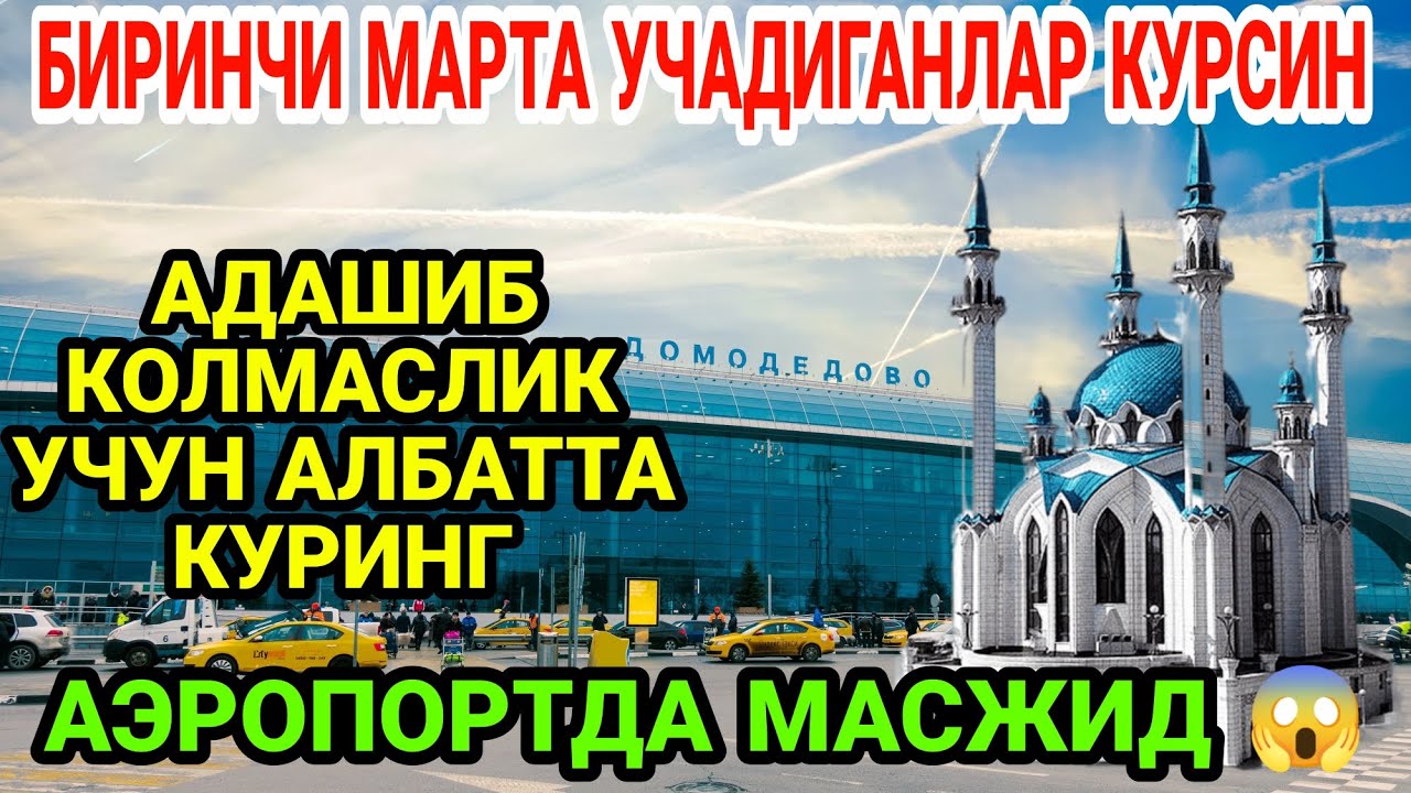 Аэропорт Домодедово Проверка Обзор  .    Aeroport Domodedova vaziyat qanday?