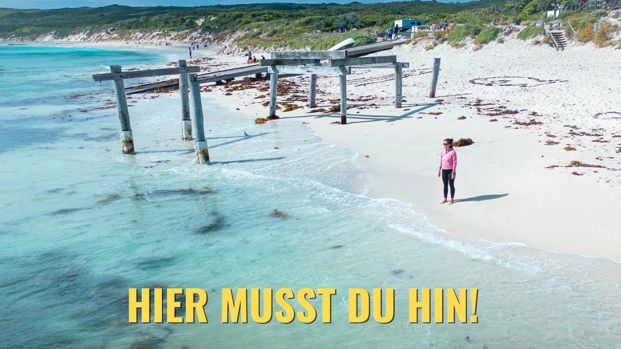 TOP Highlights Südwestaustralien • HAMELIN BAY & Valley of the Giants | Australien Vlog#14