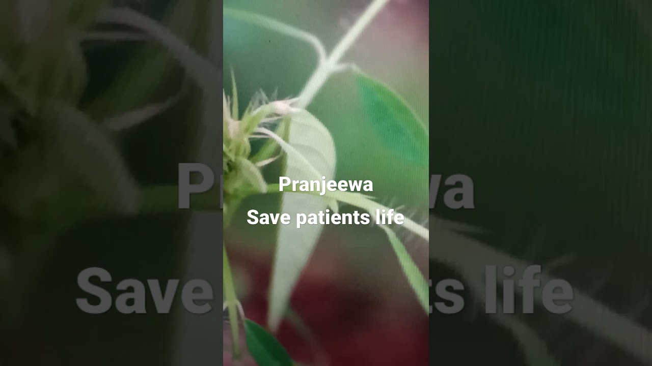 PRANAJEEWA l Save patients life l