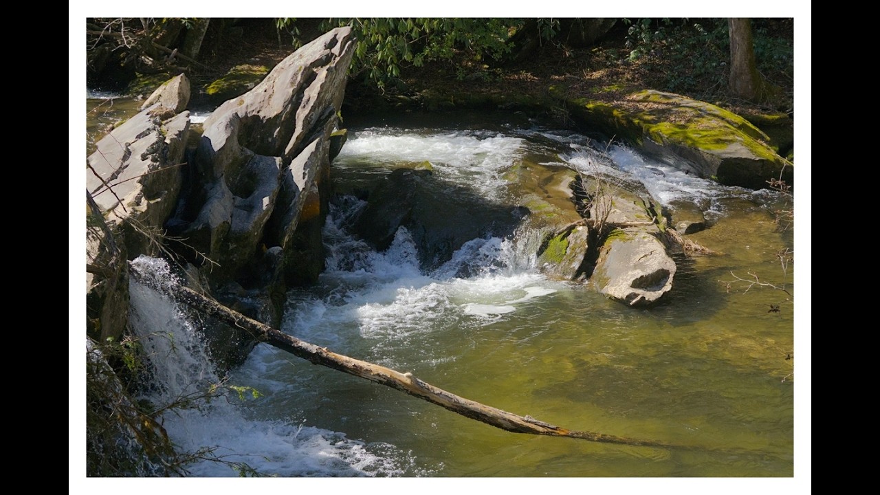 Cherokee National Forest   03 09 26