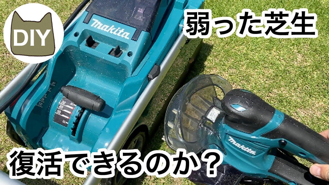 弱った芝生 復活できるのか？ マキタの充電式芝刈り機&バリカン