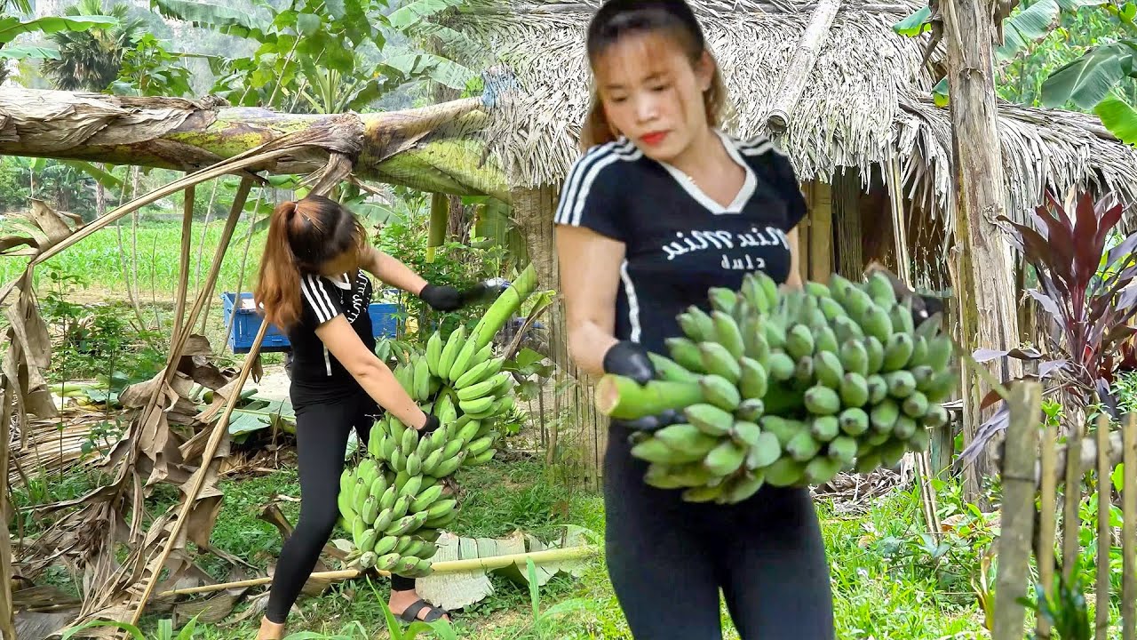 Alone Building a Log Cabin Kitchen | Selling Bananas to Support My Children