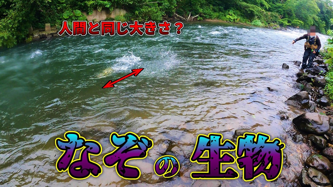 UMA！？謎の巨大生物！？人間ぐらいのとんでもない大きな影が映り込んだ！！