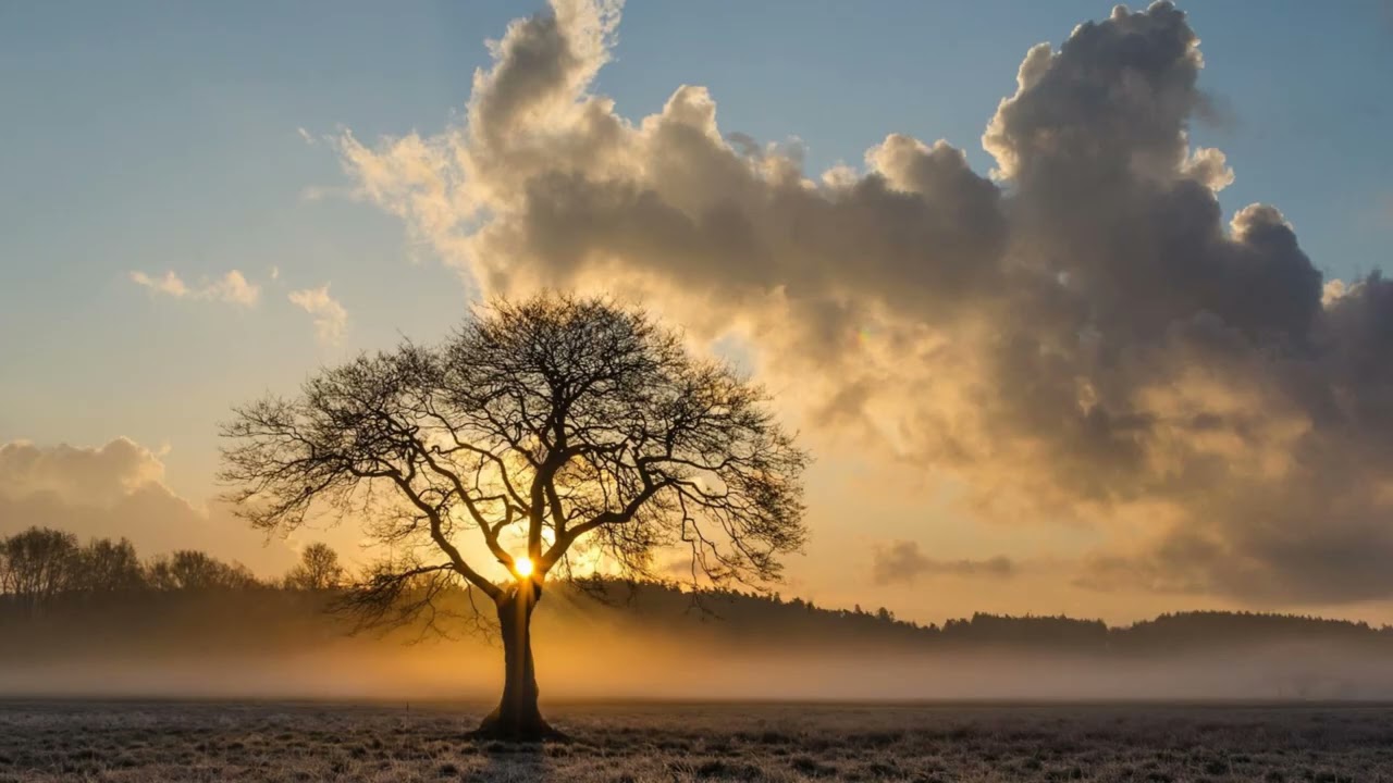 Hebt ge uw ziel voor den Heiland ontsloten (Glorieklokken 27)