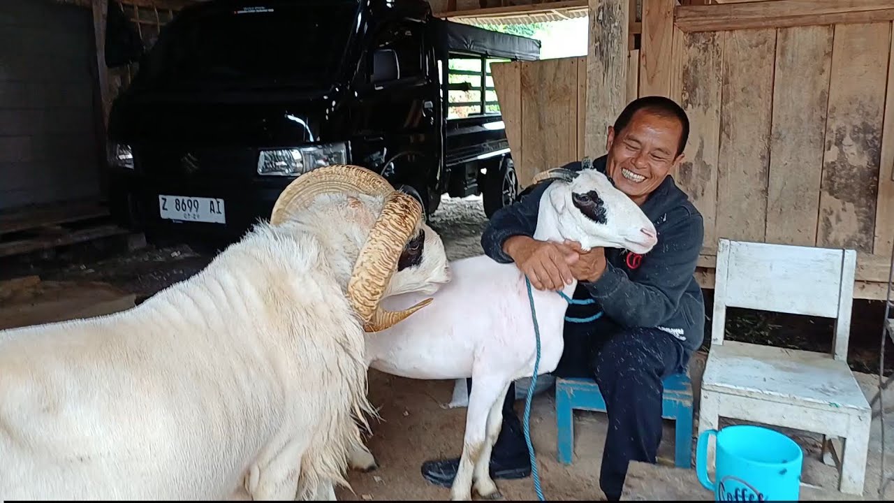 PETET DAN DARA GEULIS KE CIPARAY BANDUNG