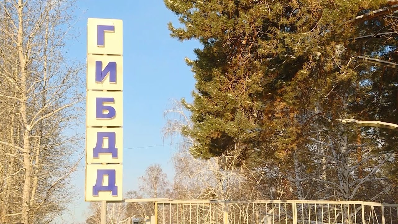 Стоимость полиса ОСАГО для водителей может измениться из за обновления тарифного коридора