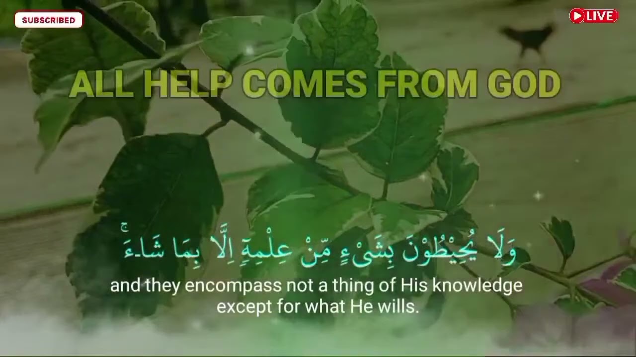 ✨🤲💯ОЧЕНЬ СИЛЬНЫЙ ДУА - Аллах дарует выход из любой трудности! | #дуа #сура алла