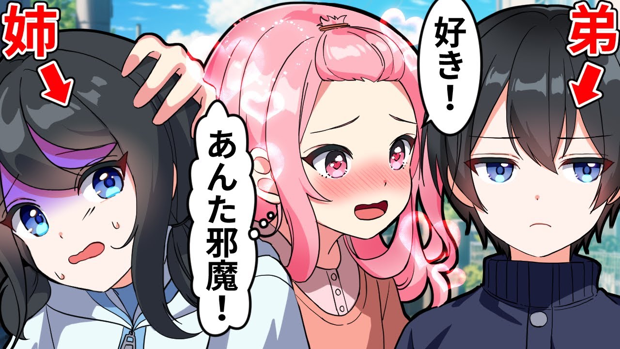 好きな男子の姉が邪魔でヤバいです【アニメ】【漫画】