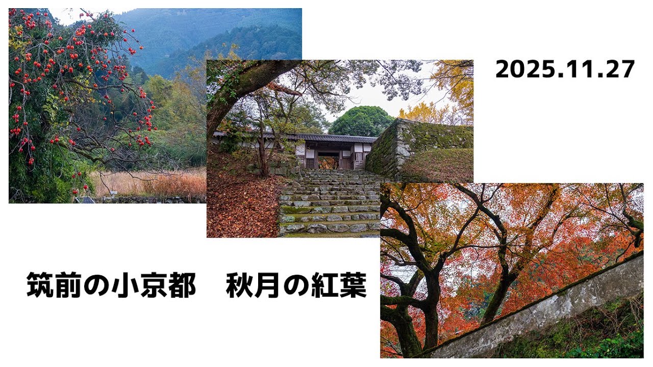 筑前の小京都　秋月の紅葉　４K    福岡県朝倉市秋月　2025.11.27    FUJIFILM X-H1