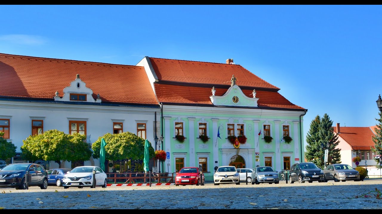 Priamy prenos zasadnutia Mestsk&eacute;ho zastupiteľstva  v  Skalici  19.06.2024, 15:00 hod.