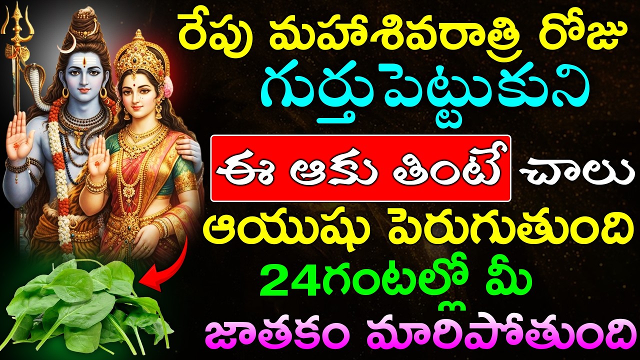 రేపు మహాశివరాత్రి  రోజు గుర్తుపెట్టుకుని ఈ ఆకు తింటే చాలు ఆయుషు పెరుగుతుంది మీ జాతకం మారిపోతుంది