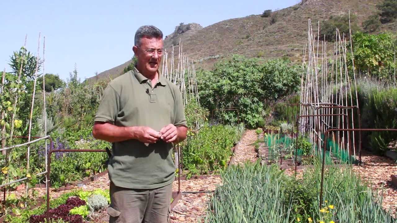 La produción de hortalizas en La Finca Ecológica El Pilón.