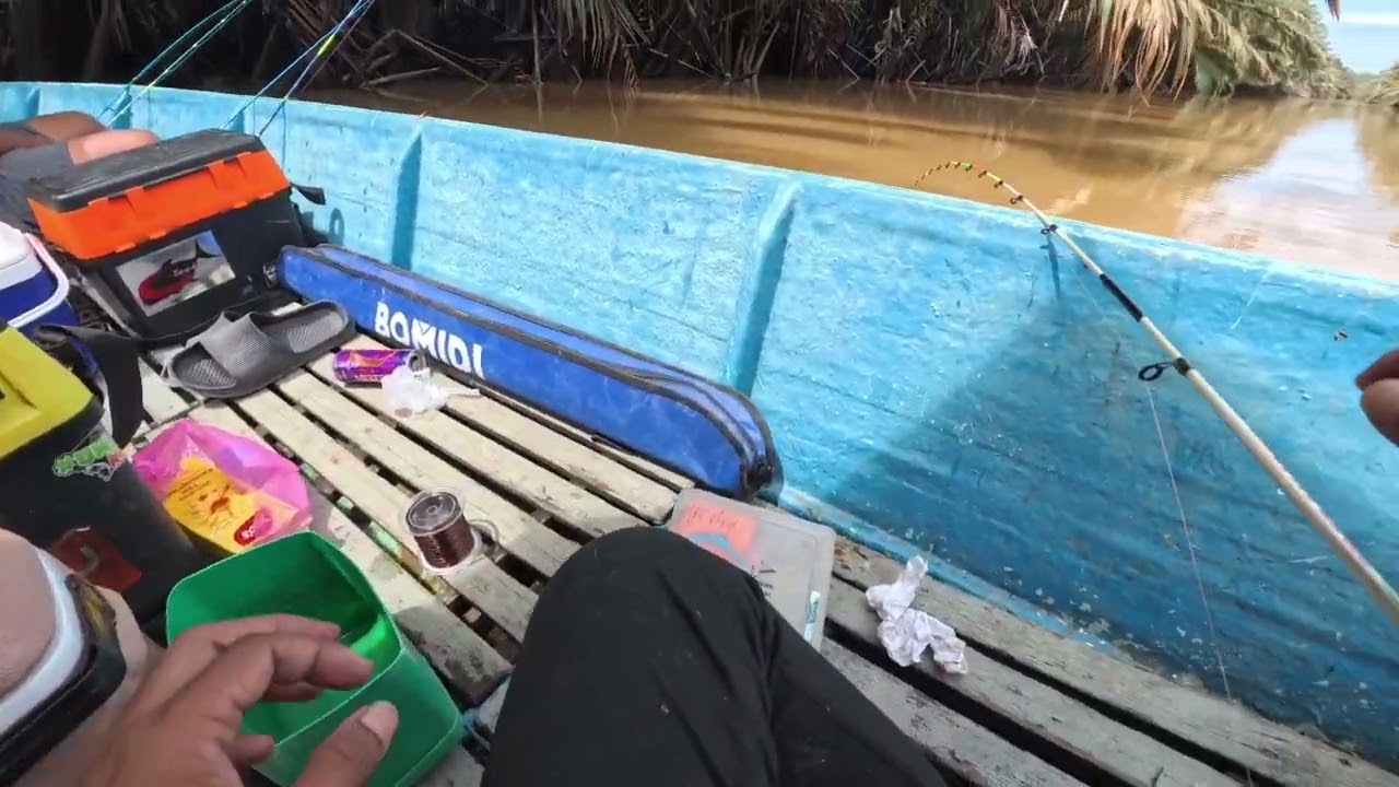 Ngintik udang ba Sg. Sibuti // Kpg. Kelapa Bekenu
