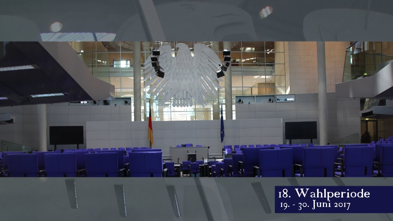 Im Bundestag abgestimmt - beschlossene Sache?: Fraktionszwang, Kampfdrohnen, &Ouml;stliche Partnerschaft