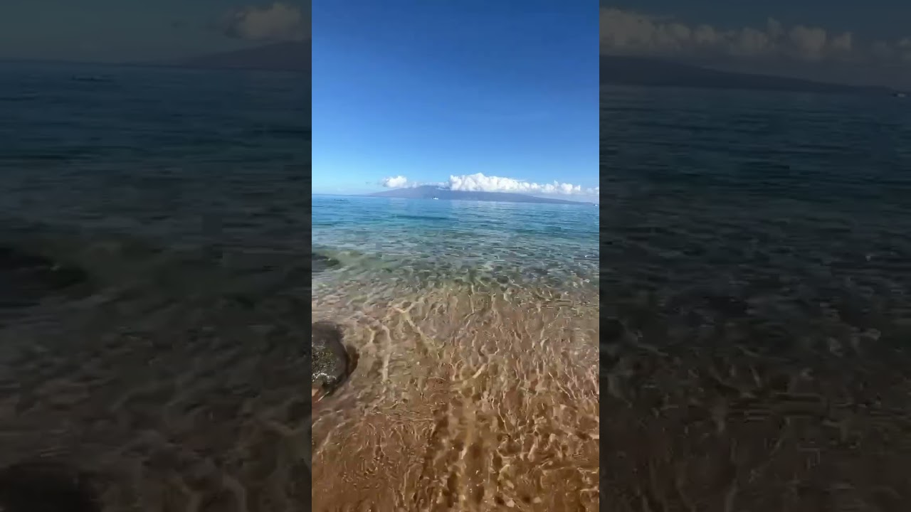 Perfect Family Beach Destination