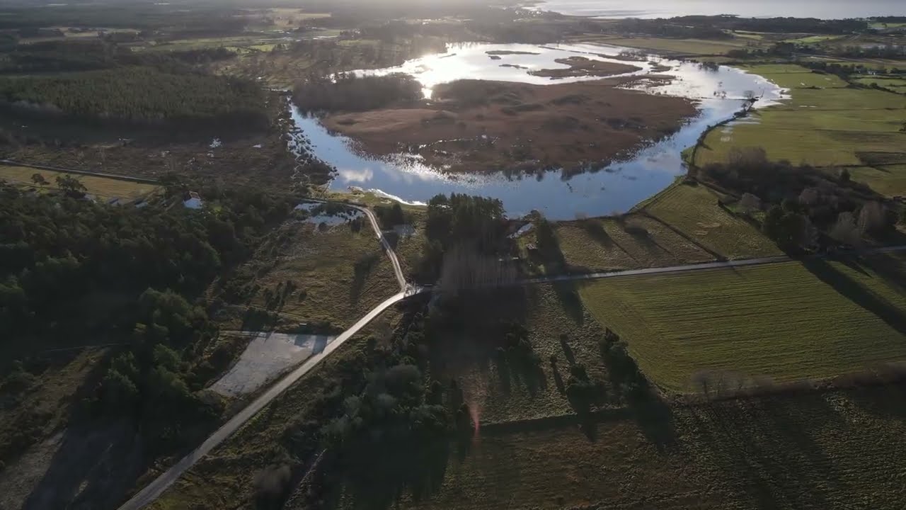 Pavikenområdet 251212