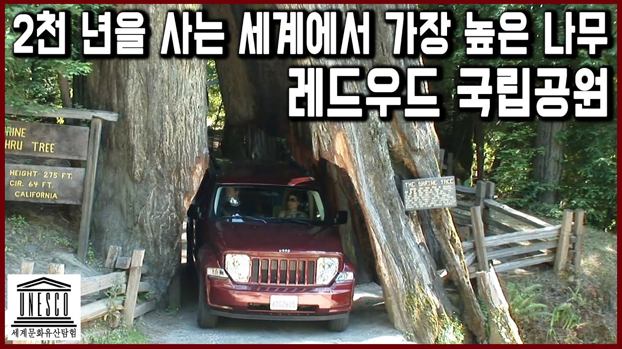 세계자연유산스페셜_장대한 시간의 유산, 미국 국립공원
