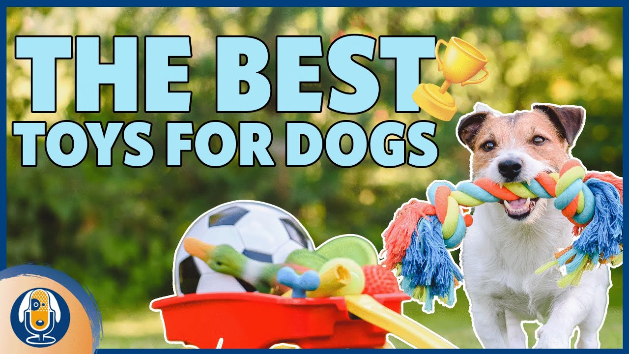 Safe Toys For Dogs And Why To Avoid Tennis Balls And Sticks #226 #podcast