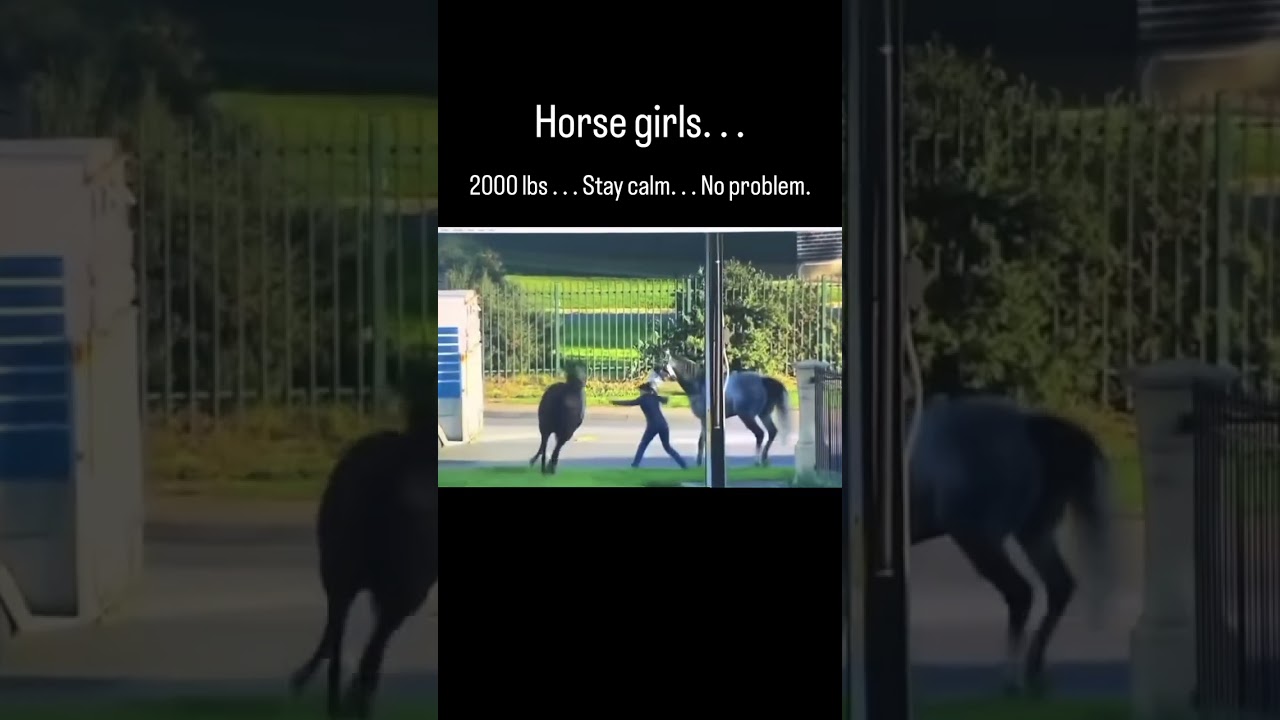 HORSE CONTROLLING