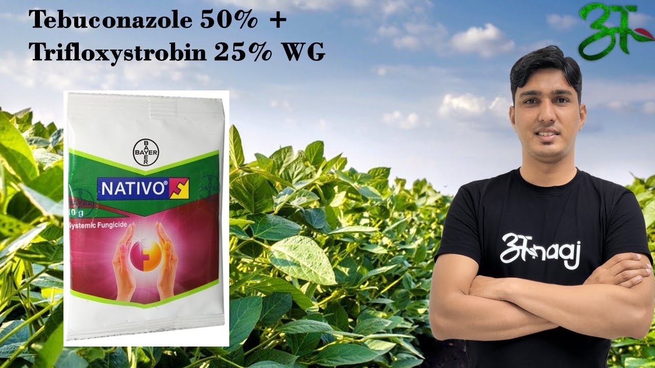 Nativo के बारे में सब कुछ जानिए | Bayer India Limited