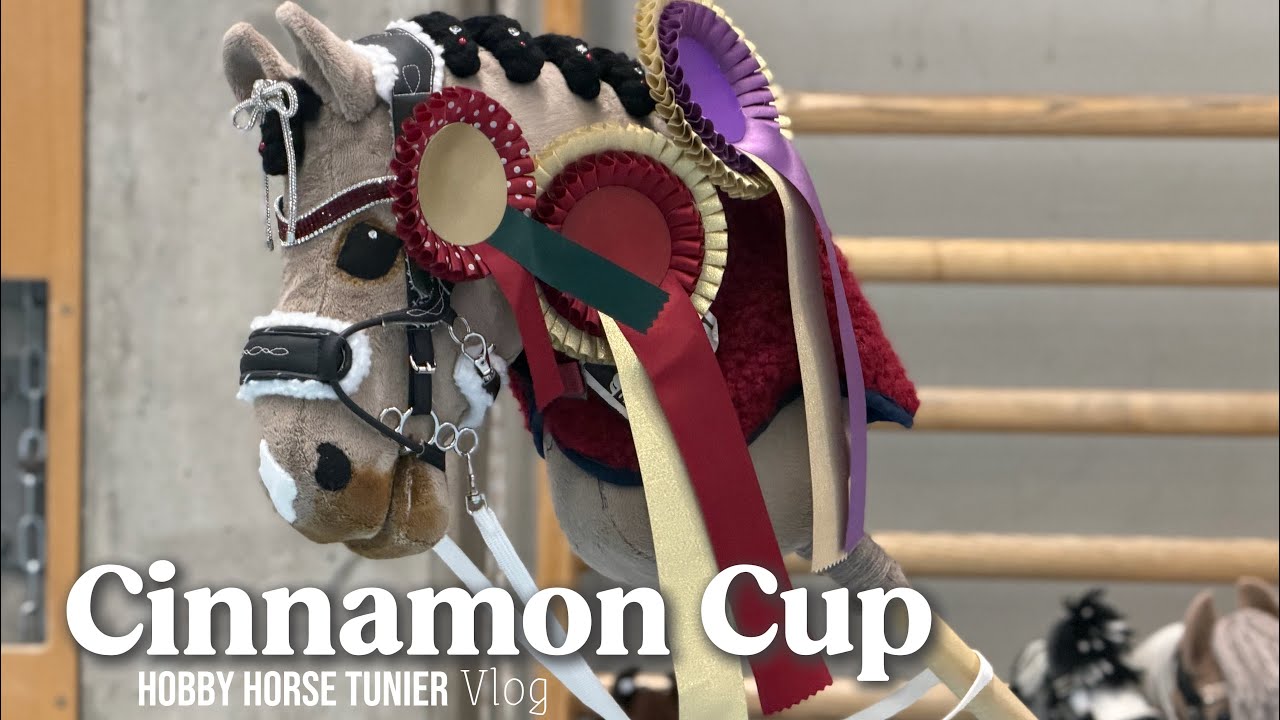 Hobby Horse Tunier - Cinnamon Cup ✨🤍 // Hobby.Horsing_M