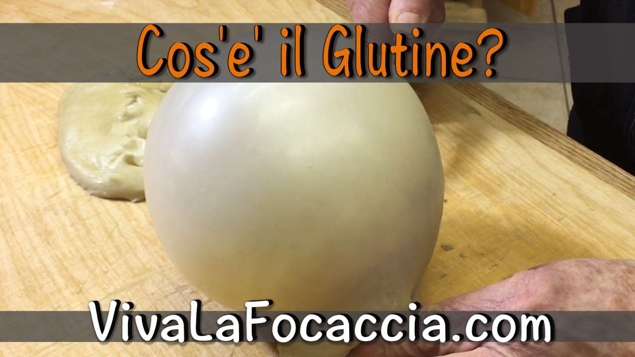 Che Cos'e' il Glutine?
