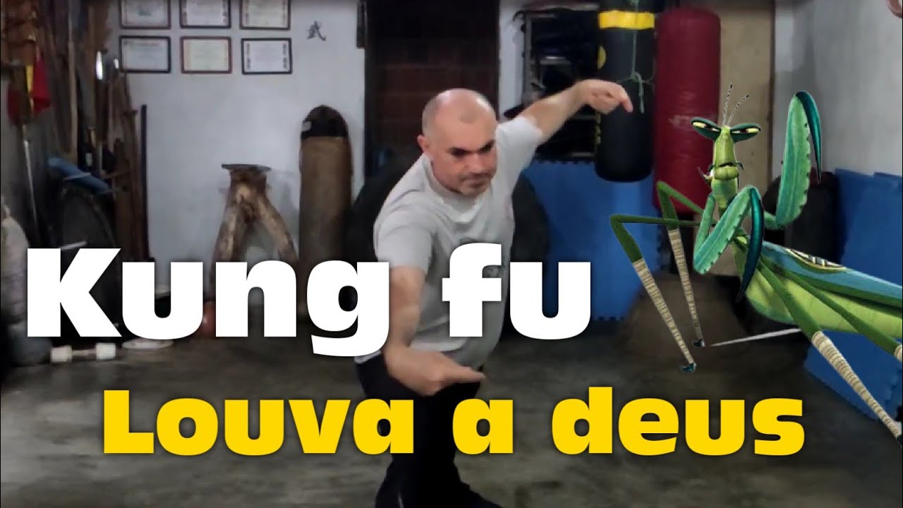 Aula de Kung fu Louva a deus / Técnicas e aplicações