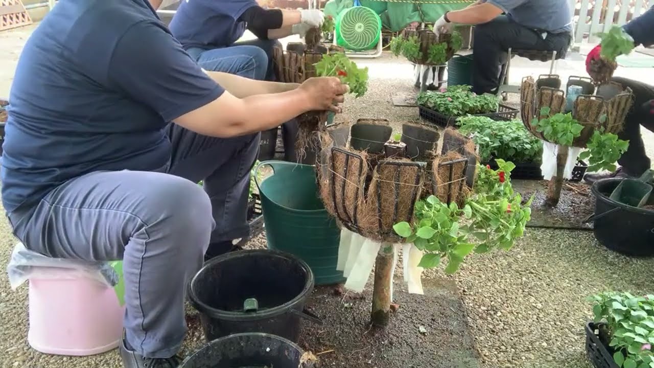 水上花壇制作ライブ