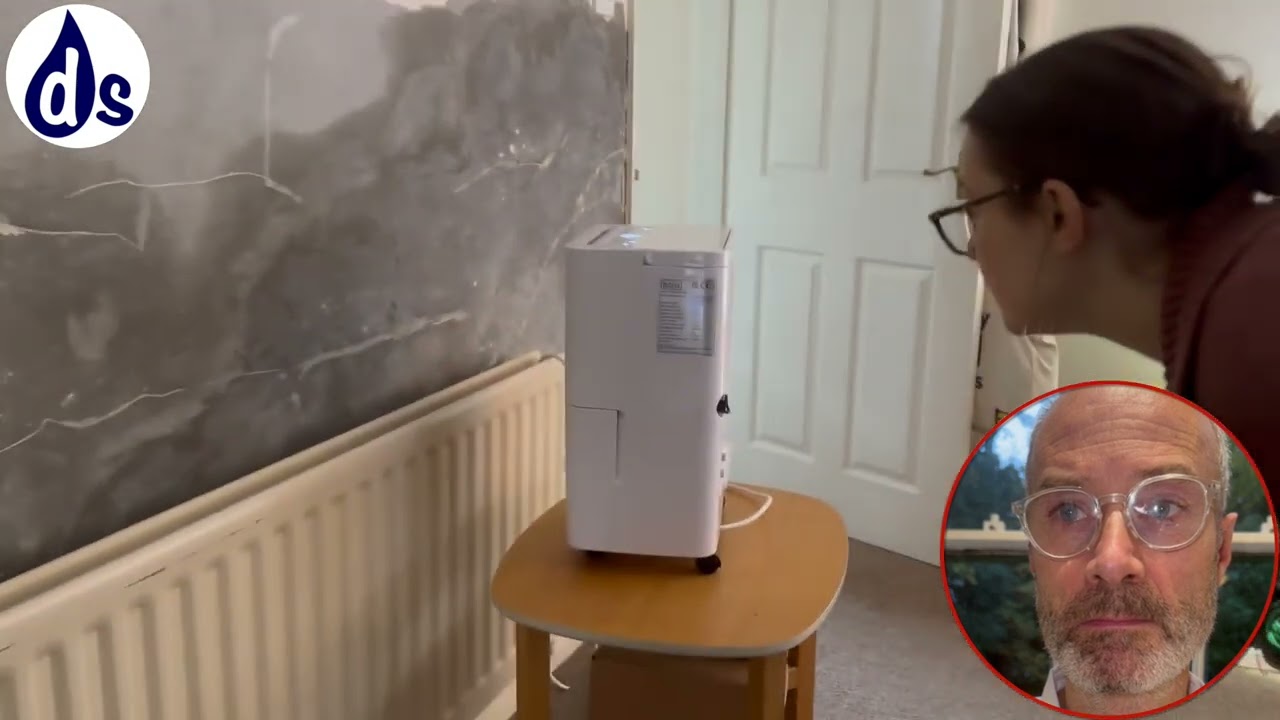 Waste pipe causing rising damp like symptoms