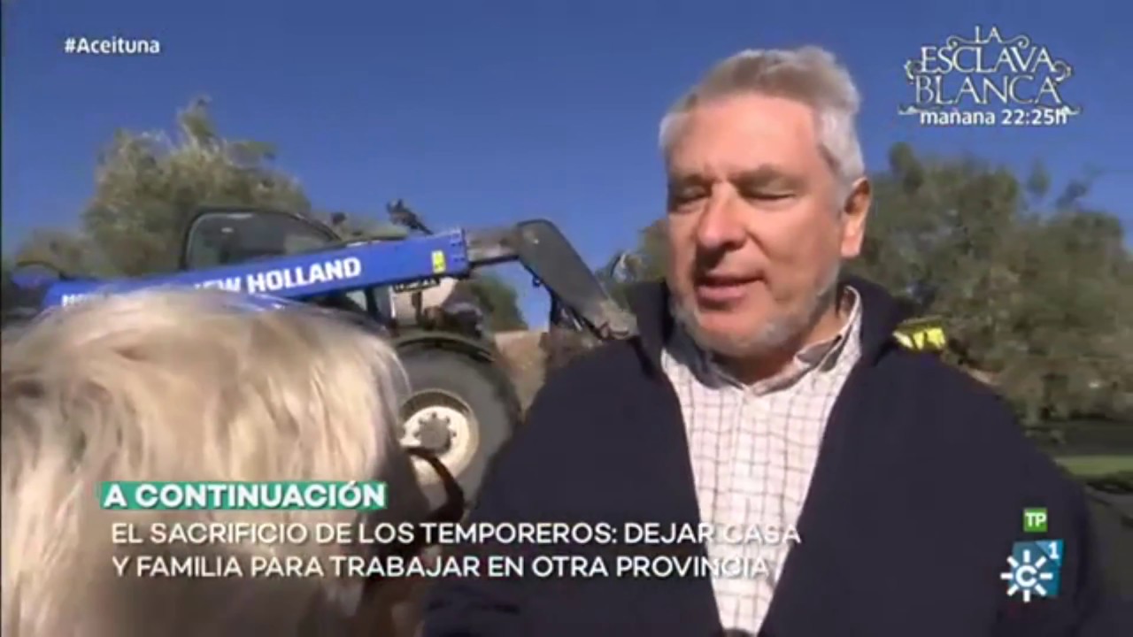 75 minutos: Recolección de aceituna, Villacarrillo