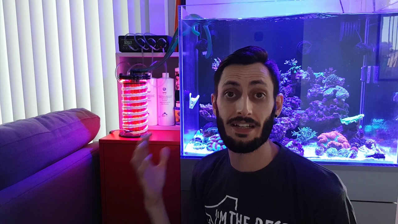DIY Chaeto Reactor Update