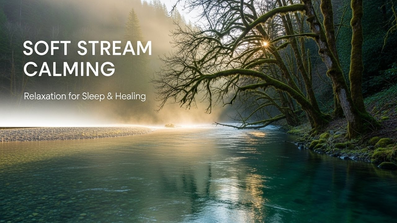 Gentle Forest Ambience with Gentle Water Flow for Study Sleep Relaxation Meditation and Inner Calm