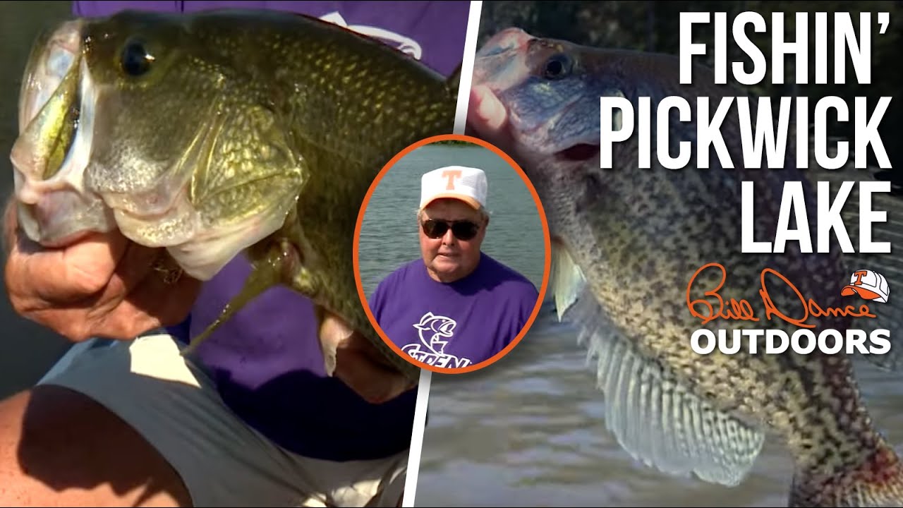 Fishin' Pickwick Lake | Bill Dance Outdoors