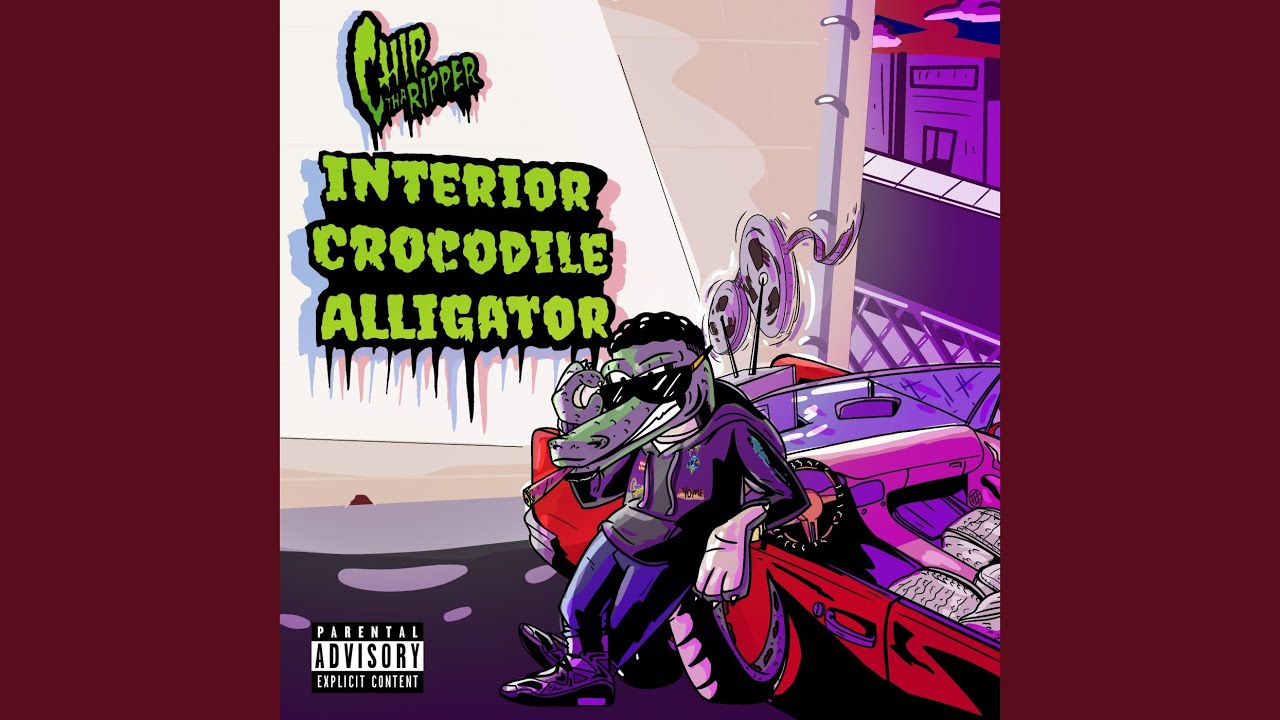 Interior Crocodile Alligator Freestyle