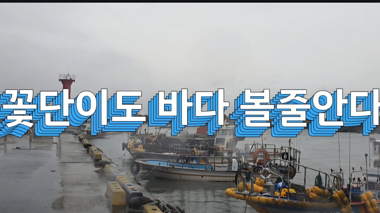 꽃단이비오는날바다보고멍때리기#부산기장바다#힐링영상#꽃단이네다육#달리기