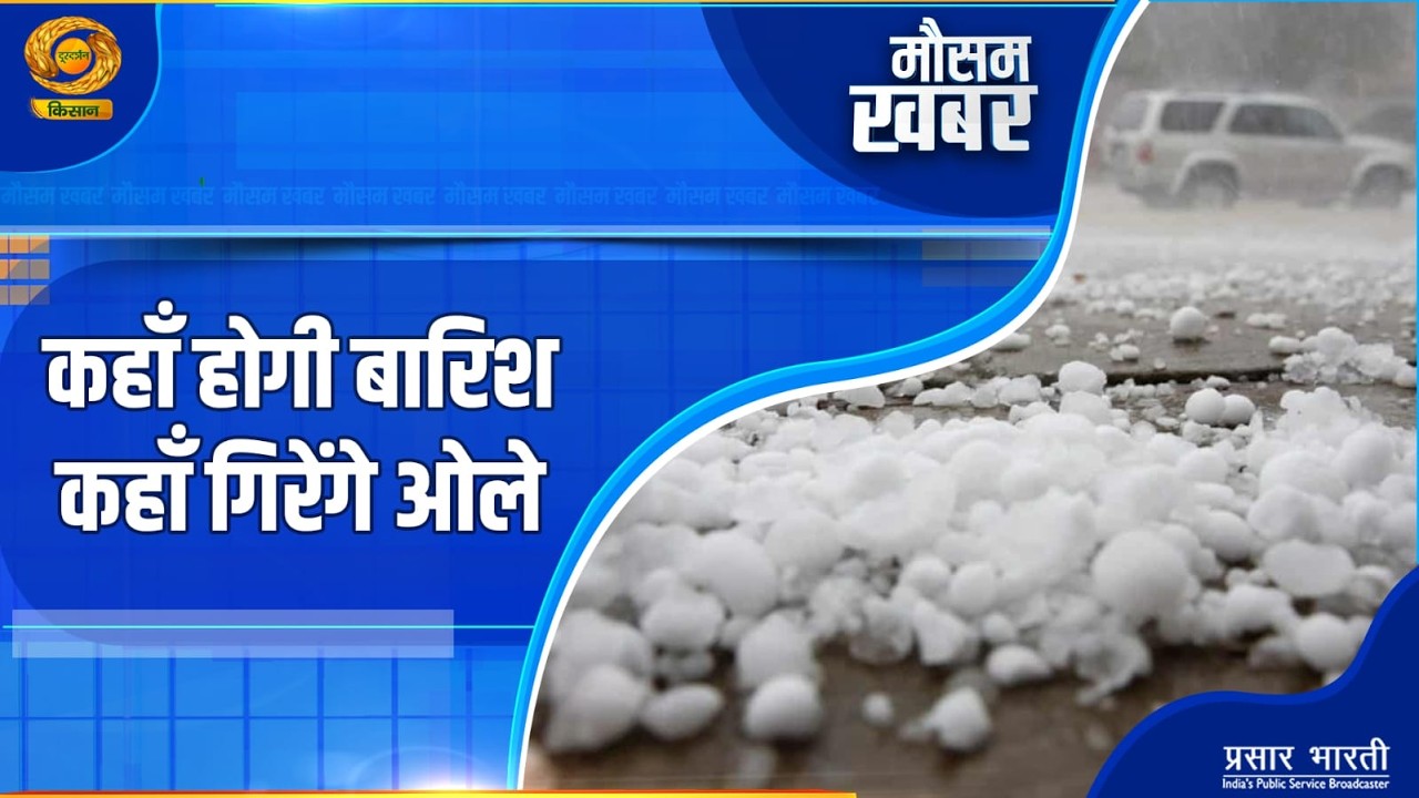 Mausam Khabar: मौसम खबर: कहाँ होगी बारिश, कहाँ गिरेंगे ओले | DD Kisan | 19/03/2026