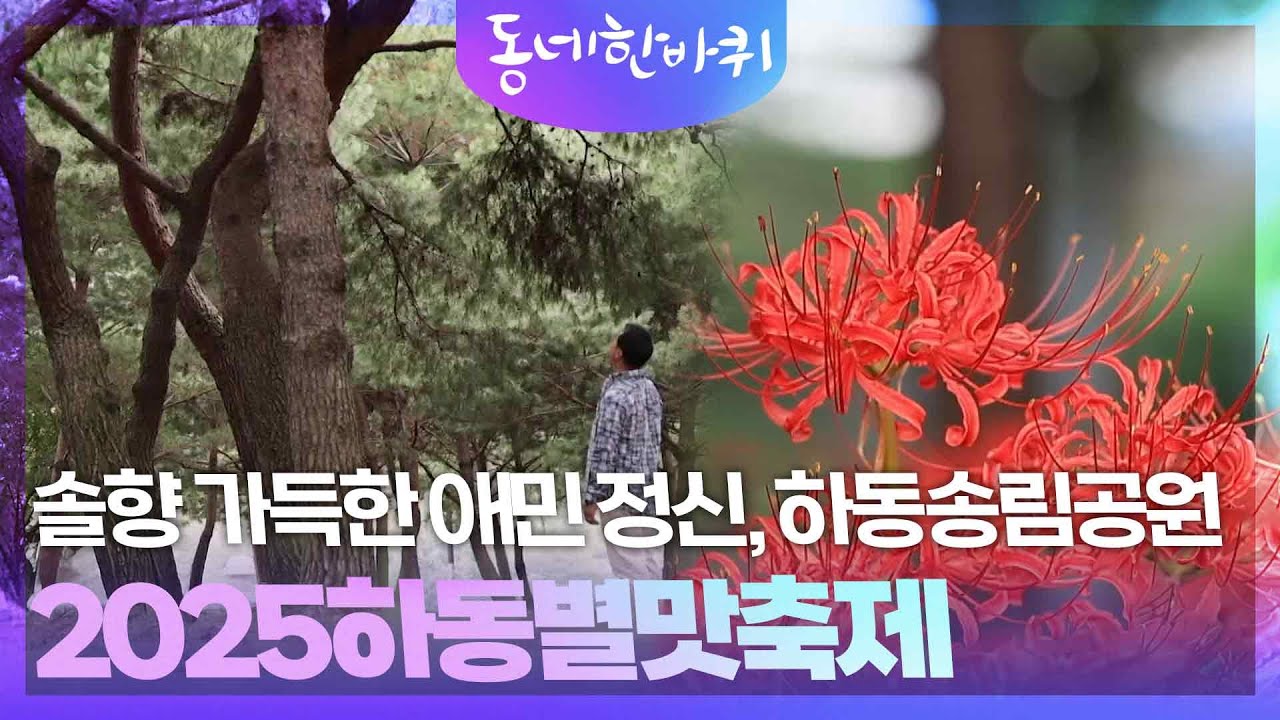 솔향 가득한 애민 정신, 하동송림공원과 2025하동별맛축제 [동네 한 바퀴] | KBS 251025 방송