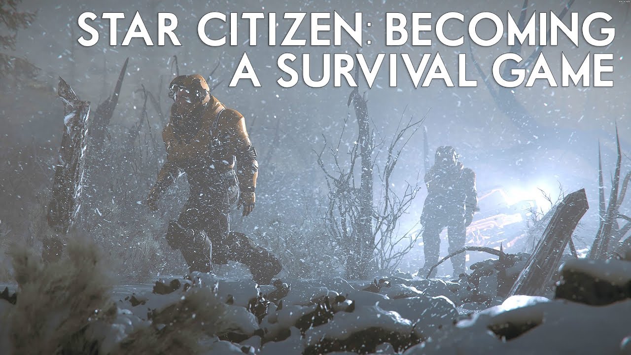 Star Citizen -  Becoming A Survival Game - New Player Status System