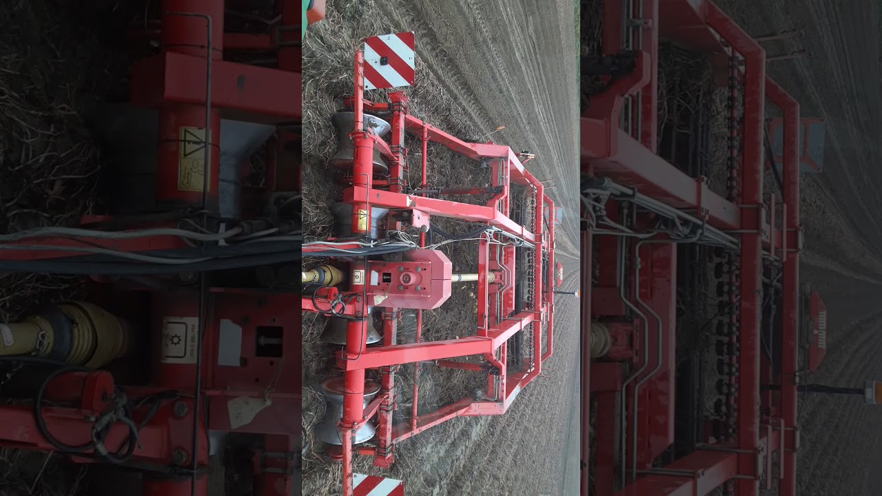 Windrowing norwis potatoes 2020