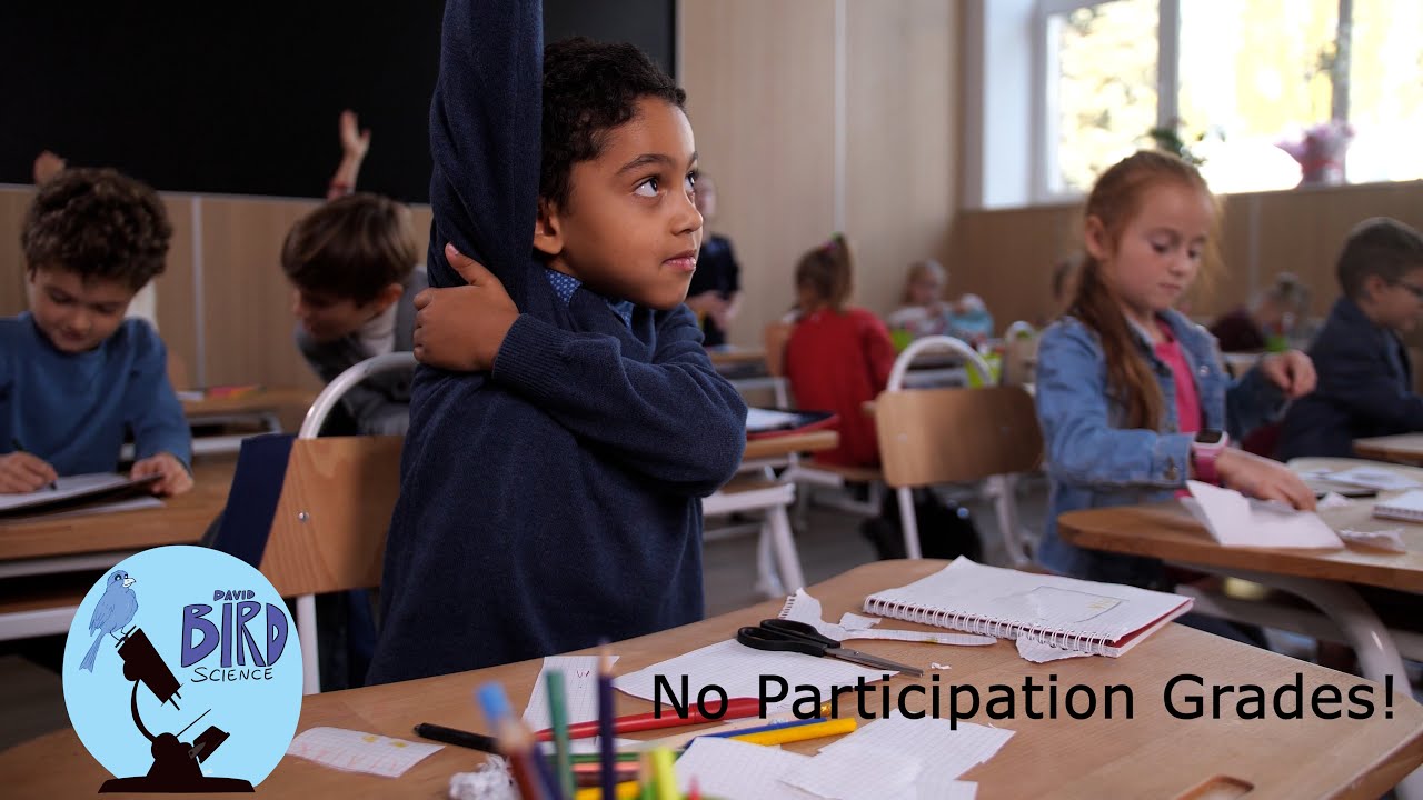Teachers, Stop Grading Participation!