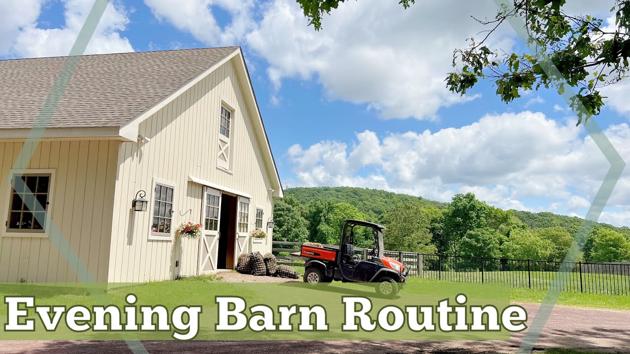 EVENING BARN ROUTINE & Feeding the Horses • SPRING 2024 Routine & Barn Chores // EQUESTRIAN VLOG