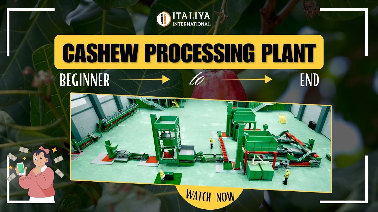 🌍⚙️ Italiya international – hi-tech cashew processing solutions ⚙️🌍