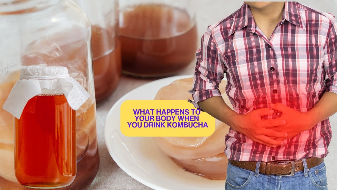 What Happens If You Drink Kombucha Every Day?
