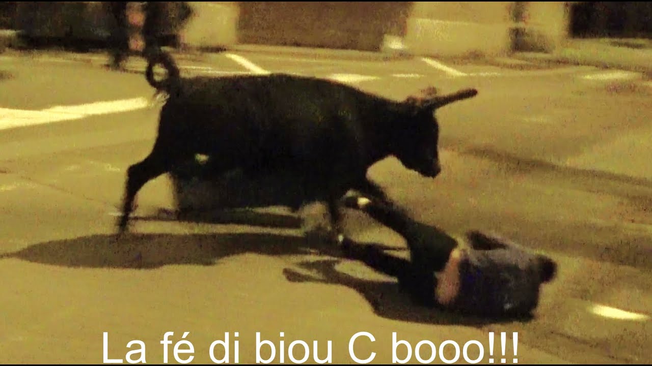 Montarnaud ▶Encierro & Bandido - manade Robert H◀ 19.10.2024.