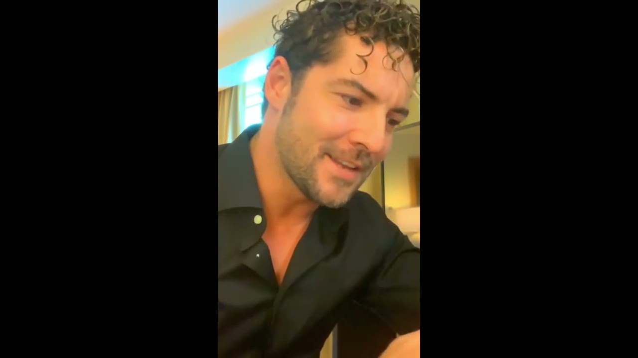 David Bisbal Vina del Mar 2019